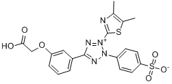 甲基纤维素分子式结构图