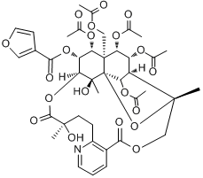 分子式结构图