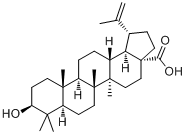 表白桦脂酸分子式结构图