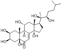 分子式结构图