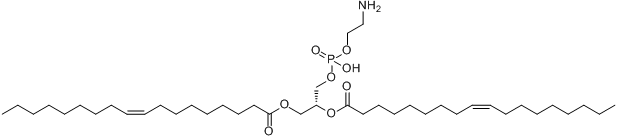 1,2-二油酰-SN-甘油-3-磷酰乙醇胺分子式结构图