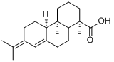 新松脂酸分子式结构图