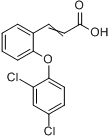 分子式结构图