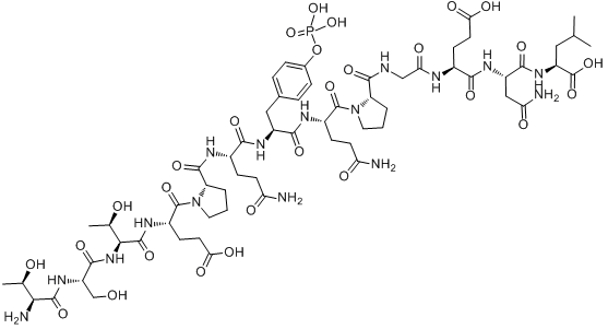 PP60 C-SRC (521-533) (PHOSPHORYLATED)分子式结构图