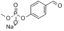 分子式结构图