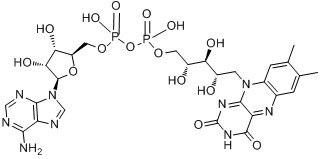 腺嘌呤黄素;腺嘌呤黄素二核苷酸;二核苷酸核黄素腺苷;二核苷酸黄素腺嘌呤;核黄素腺苷双核苷酸分子式结构图