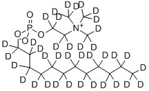 分子式结构图