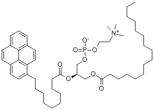 分子式结构图