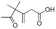 分子式结构图