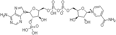 烟酰胺腺嘌呤双核苷酸磷酸盐分子式结构图