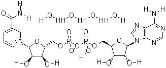 辅酶I分子式结构图