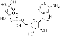 5'-三磷酸腺苷分子式结构图