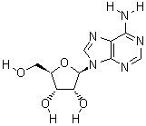 腺苷分子式结构图