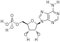 5'-磷酸腺苷分子式结构图