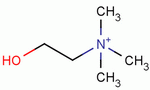 胆碱分子式结构图