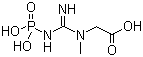 磷酸肌酸分子式结构图