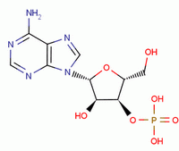 腺苷-3'-磷酸分子式结构图