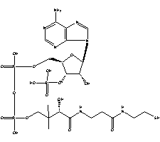 辅酶A分子式结构图