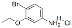 3-乙氧基-4-溴苯胺盐酸盐分子式结构图