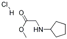 L-环戊基甘氨酸甲酯盐酸盐分子式结构图