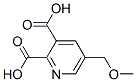 5-甲氧基甲基-2,3-吡啶二羧酸分子式结构图