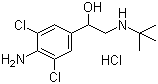 盐酸克仑特罗分子式结构图