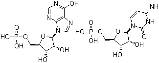 聚肌胞分子式结构图