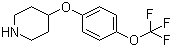 4(4-三氟甲氧基苯氧基哌啶)分子式结构图