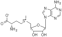 S-腺苷-L-甲硫氨酸分子式结构图