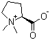 水苏碱分子式结构图