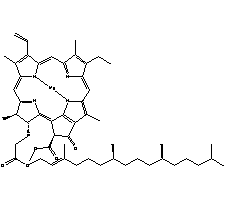 糊状叶绿素分子式结构图