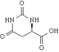 L-4,5-二氢乳清酸分子式结构图