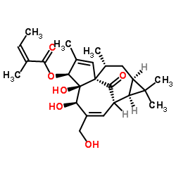 巨大戟醇-3-O-当归酸酯分子式结构图