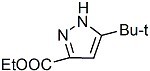 3-叔丁基-1H-吡唑-5-羧酸乙脂分子式结构图