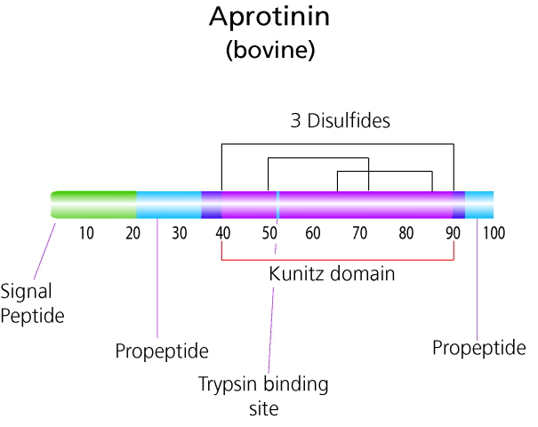 抑肽酶分子式结构图