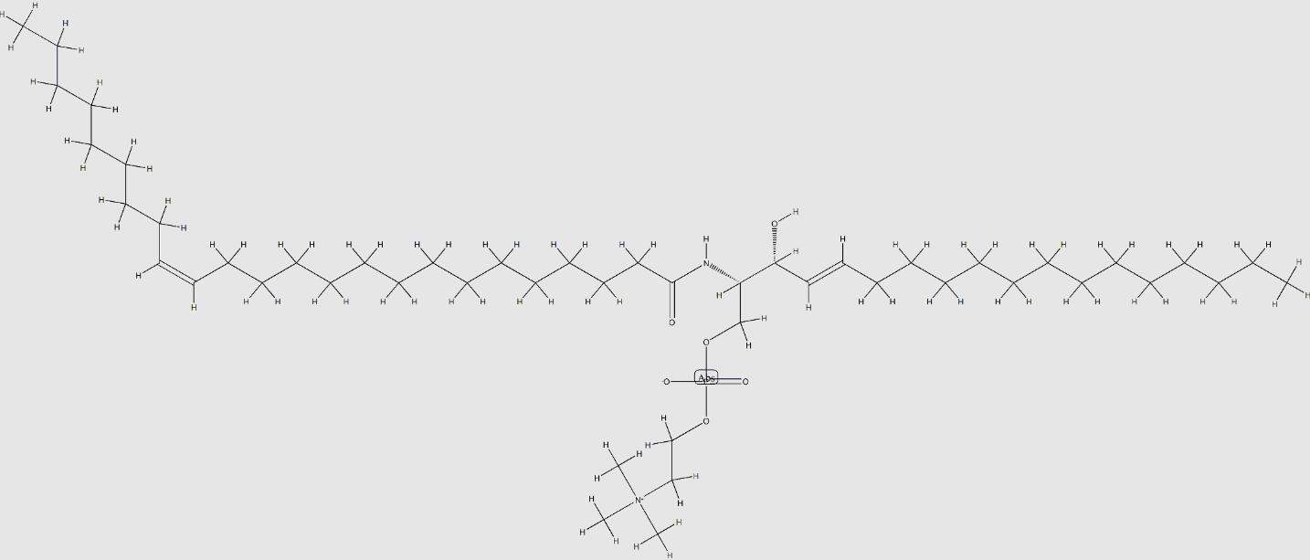 24:1 SM分子式结构图