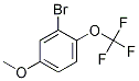 3-溴-4-三氟甲氧基苯甲醚分子式结构图