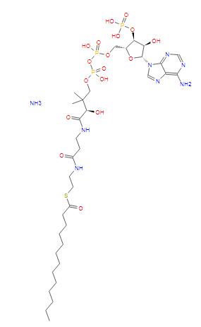 13:0 COENZYME A分子式结构图