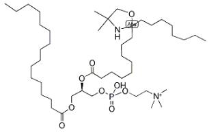 16:0-10 DOXYL PC分子式结构图