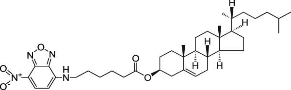 NBD-6 CHOLESTEROL分子式结构图