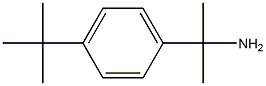 2-(4-(叔丁基)苯基)丙-2-胺分子式结构图