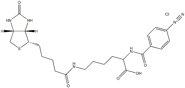 4-diazobenzoyl biocytin分子式结构图