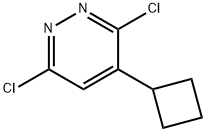 3,6-二氯-4-环丁基哒嗪分子式结构图