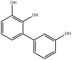 [1,1-Biphenyl]-2,3,3-triol (9CI)分子式结构图