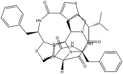 (7R,14S)-14-Demethyl-7-de(1-methylpropyl)-14-phenylmethyl-7-(1-methylethyl)ulicyclamide分子式结构图