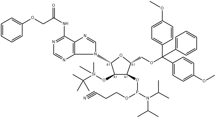 N-blocked-5'-O-DMT-2'-O-TBDMS CED adenosine phosphoramidit分子式结构图