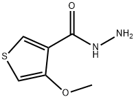 4-METHOXYTHIOPHENE-3-CARBOHYDRAZIDE分子式结构图