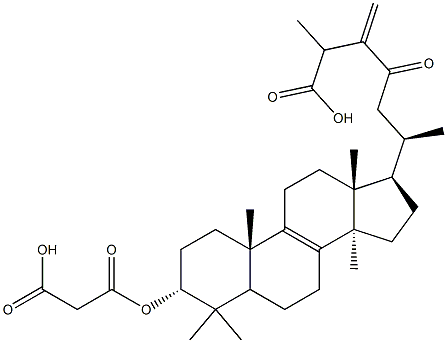 3ALPHA-羧基乙酰氧基-24-亚甲基-23-氧代羊毛甾-8-烯-26-酸分子式结构图