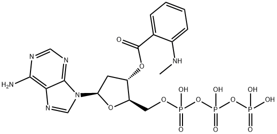 2'- DEOXY- 3'- O- (N'- METHYLANTHRANILOYL)ADENOSINE- 5'- O- TRIPHOSPHATE ( MANT-DATP )分子式结构图