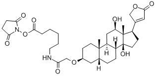 地高辛NHS酯分子式结构图